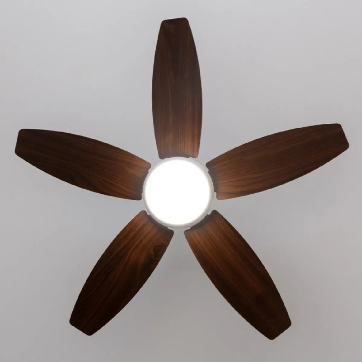 Clearance MyMobel Cecotec Ventiladores de techo con luz EnergySilence Aero 4200 White&DarkWood
